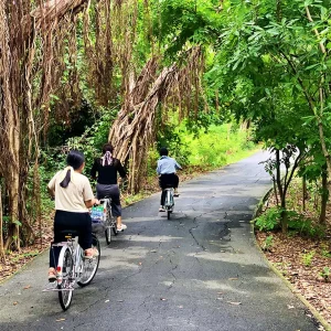 Private Cycling tour at Bang Kra Chao
